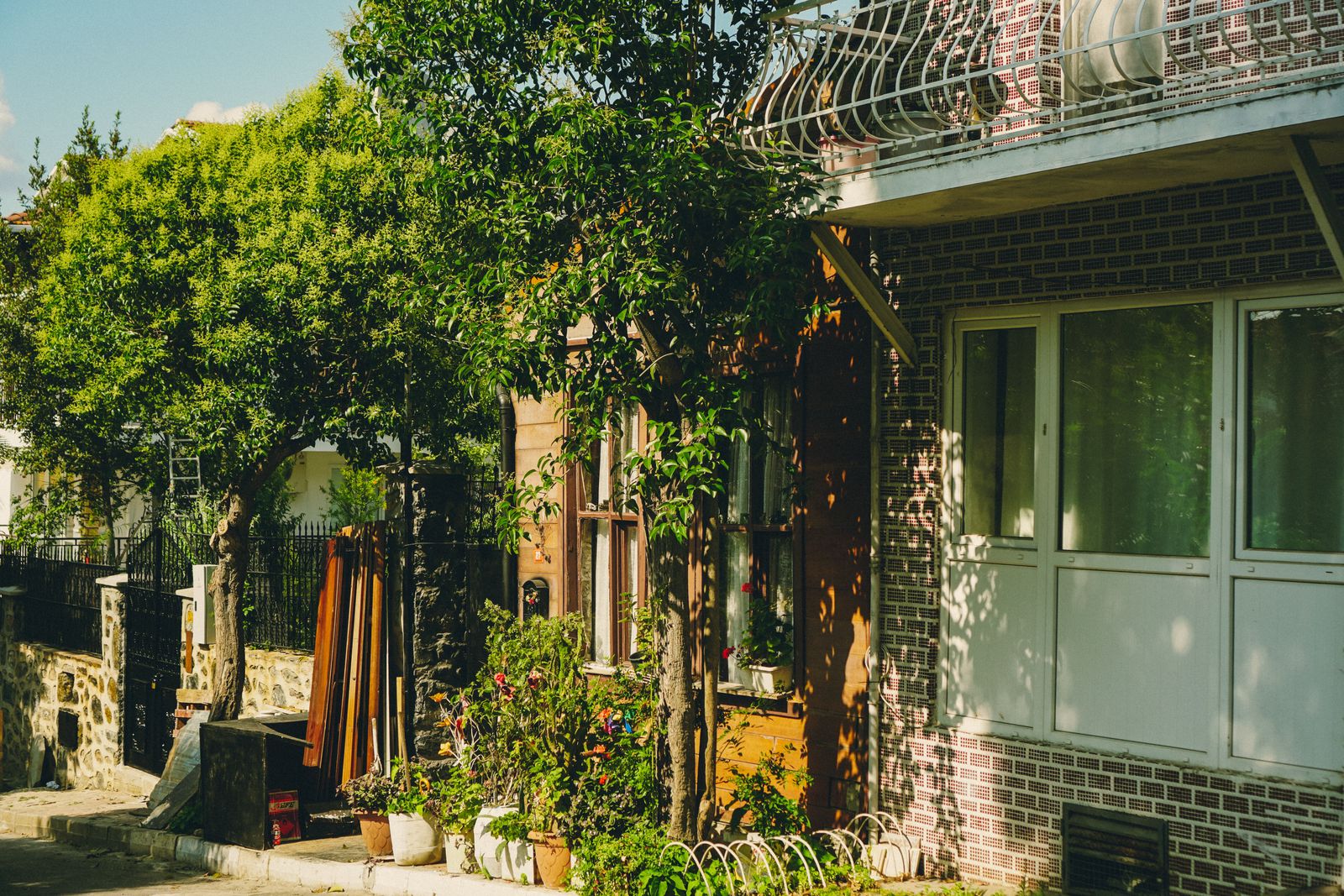 Residential street in Schertz & Cibolo